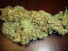 Picture for song 'Big Ben - Live Your Life ( Sample )' by artist 'Big Ben420'