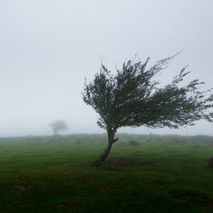 Picture for song 'Wind' by artist 'Big Choppa Beats'