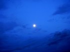 Picture for song 'Somewhere In The Blues' by artist 'Big Sky Blues Band'