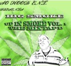 Picture for song 'Intro' by artist 'Big Smoke 619'