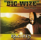 Picture for song 'Racines Feat Amir & Houcine' by artist 'big wize'