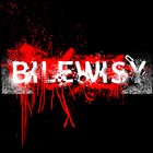 Picture for song '-=i'm with you=-Bilwsy Demo' by artist 'BiLwSy'