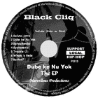 Picture for song '05 Trouble U' by artist 'Black Cliq'