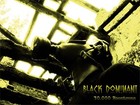 Picture for song '30.000 Roentgens' by artist 'Black Dominant'