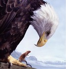 Picture for song 'Man In Black' by artist '- Black Ice Productions (PT)'