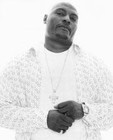 Picture for song 'Big Steele - Storched Dickies' by artist 'Black Tee Productions'