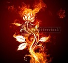 Picture for song 'Burning Roses' by artist 'BlazinFaze'