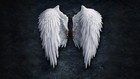 Picture for song '*NEW* ANGEL WINGS' by artist 'B.Lee Music'