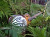 Picture for song 'Aint Busy' by artist 'Blind Creek'