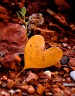 Picture for song 'I Still Love You' by artist 'BluNasty'