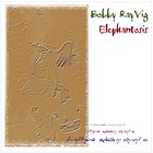 Picture for song 'Snookums' by artist 'Bobby Ray Vig'