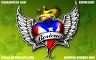 Picture for song 'Reggaeton beats' by artist 'Boricua Projects'
