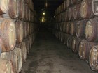 Picture for song 'Ages of Wine' by artist 'Boy and the Ghost'