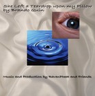 Picture for song 'She Left a Teardrop Upon My Pillow' by artist 'Brando Quin and RavenFeat'