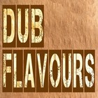 Picture for song '06.Dub Flavours' by artist 'BreakTrailz'