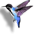 Picture for song 'All Saints Day' by artist 'Brian Chaney'