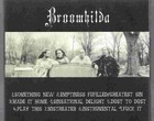 Picture for song 'Emptiness Fulfilled' by artist 'Broomhilda'