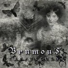 Picture for song 'Du∫k' by artist 'Brumous'