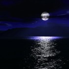 Picture for song 'Sea With Me' by artist 'B Squared Ent Beats'