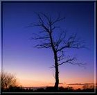 Picture for song 'the end' by artist 'C1MUSIC'