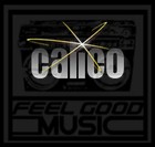 Picture for song 'I just need to know' by artist 'Calico (NC)'