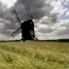 Picture for song 'Danza del viento' by artist 'Cambridge 2003'