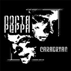 Picture for song 'Joygasme' by artist 'Caradryan'