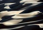 Picture for song 'Footprints Lost in Shifting Sands' by artist 'Carlo D'Anna'
