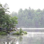 Picture for song 'The lake in the rain' by artist 'Charles Cornelius Tyler'