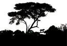 Picture for song 'You' by artist 'CHiLLUM WOODS ROOTS'