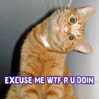 Picture for song 'Department Store MCS- Pent Up Diss' by artist 'Chris Robba'