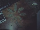 Picture for song 'SWEET MARYJANE' by artist 'CHRONICLY CHALLENGED RECORDS'