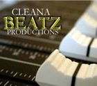 Picture for song 'I Love You' by artist 'Cleana Beatz'