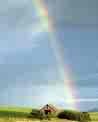 Picture for song 'AFTER THE RAIN' by artist 'Colleen Laylon-Songwriter'