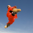 Picture for song 'andI (all my songs I made are made myself)' by artist 'Company of shaolin'
