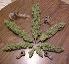 Picture for song 'Reggae 2 -free downlaod' by artist 'CONSCIOUSBEATS.COM'
