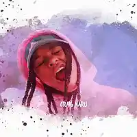 Picture for song 'XOXO (Kodie Shane x Lil Uzi Vert) *CM x PGP*' by artist 'Craig Maru'