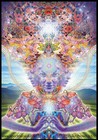 Picture for song 'Pushin 4 Change' by artist 'Crystal Trees'