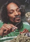 Picture for song 'Roll Up Roll Up(Buy 1 Get 1 FREE)' by artist 'C.T.H.O. BEATZ'