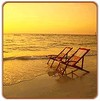 Picture for song 'Chill summer' by artist 'Cyborgdrive'