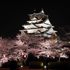 Picture for song 'Osaka Castle (Only Lease)' by artist 'Damie Muzick'