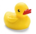 Picture for song 'Rubber Ducky' by artist 'Dance Music for Grownups'