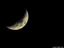 Picture for song 'Quarter Moon' by artist 'dan edwards'