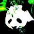 Picture for song 'Der Mann mit dem speckigen Hut' by artist 'Das Pandabaerchen spielt Trommel'