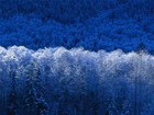 Picture for song 'Blue Northern' by artist 'Dean Elliott'