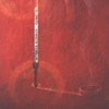Picture for song 'Sweet Walking - Marche Douce' by artist 'Delphe'