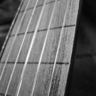 Picture for song 'Gullerin Icinden ( fretless ) - Cover' by artist 'deniz baytas'