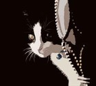 Picture for song 'CAT SONG' by artist 'Dennis Hitchcox'