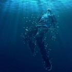 Picture for song 'The Drowning (Asphyxia)' by artist 'Diamond Music'
