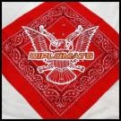 Picture for song 'Diplomatic sh***' by artist 'Dipset 4s'